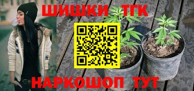 шишки Татарск