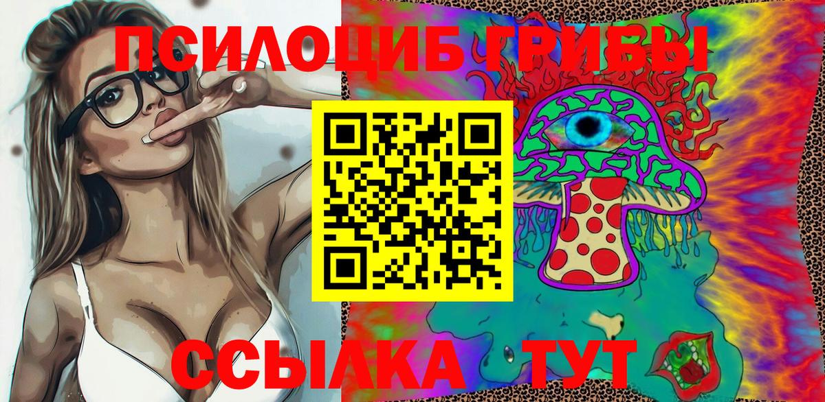 Псилоцибиновые грибы Cubensis  Вход с VPN  Воскресенск 